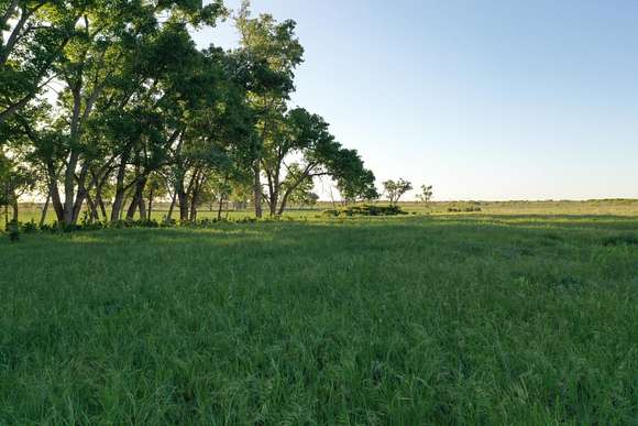 300 Acres of Recreational Land & Farm for Sale in Turkey, Texas