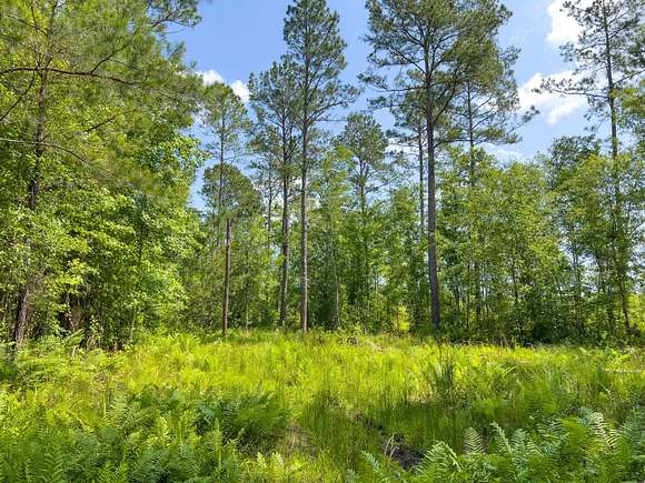 5.3 Acres of Residential Land for Sale in Monticello, Florida