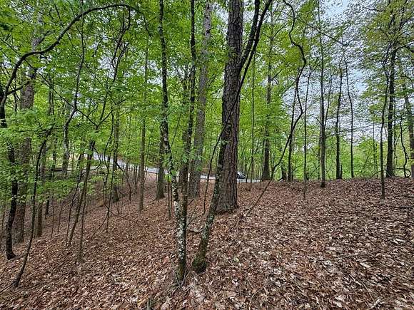 0.65 Acres of Land for Sale in Ellijay, Georgia