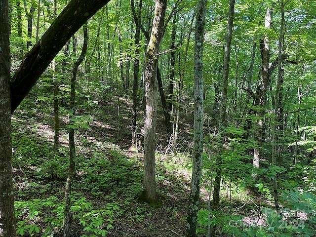 3.1 Acres of Residential Land for Sale in Tryon, North Carolina