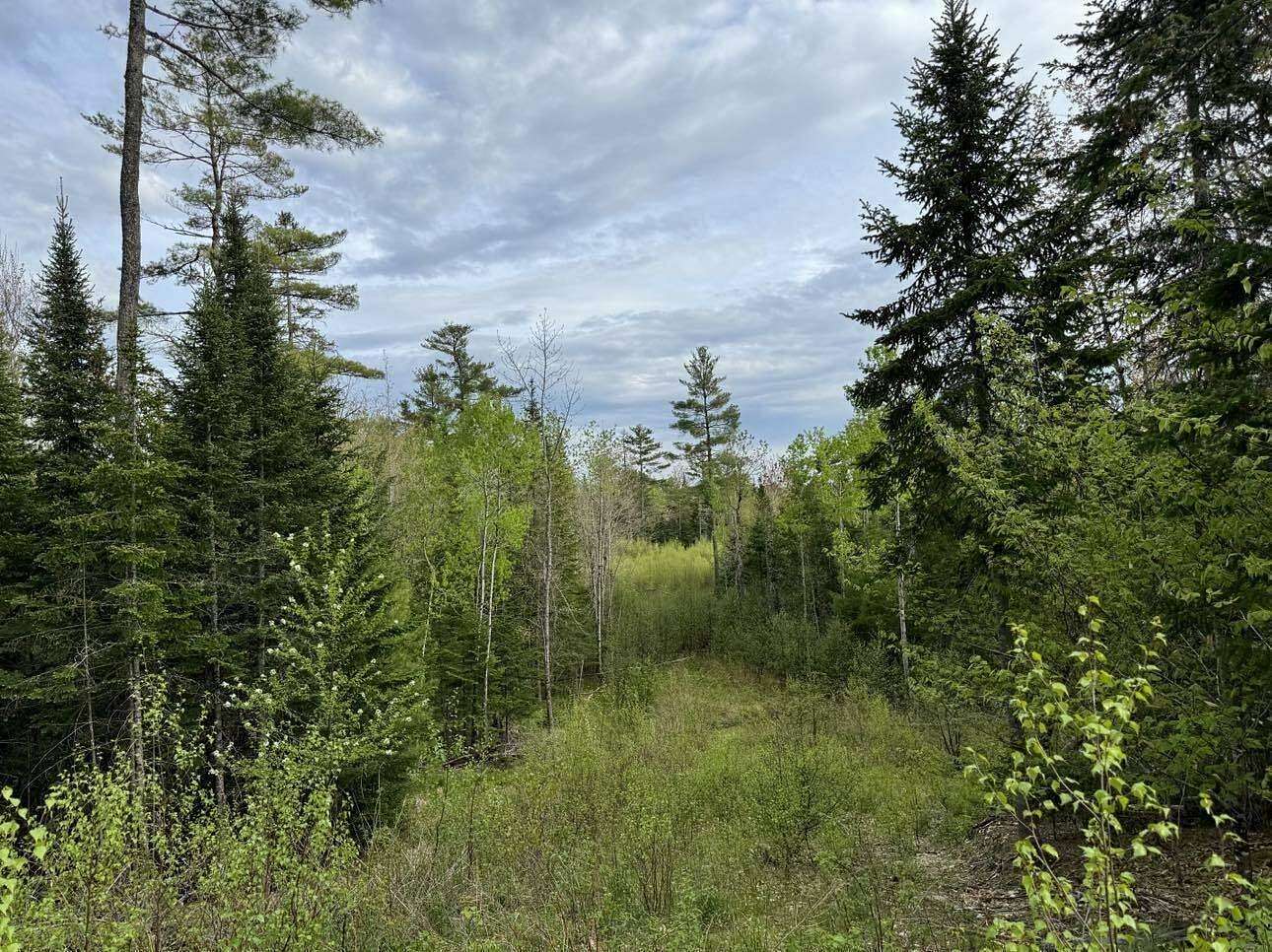 4.6 Acres of Residential Land for Sale in Hermon, Maine