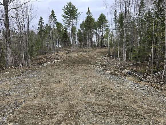 15.3 Acres of Recreational Land for Sale in New Limerick, Maine
