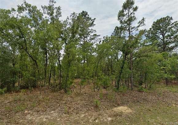 0.23 Acres of Residential Land for Sale in Dunnellon, Florida