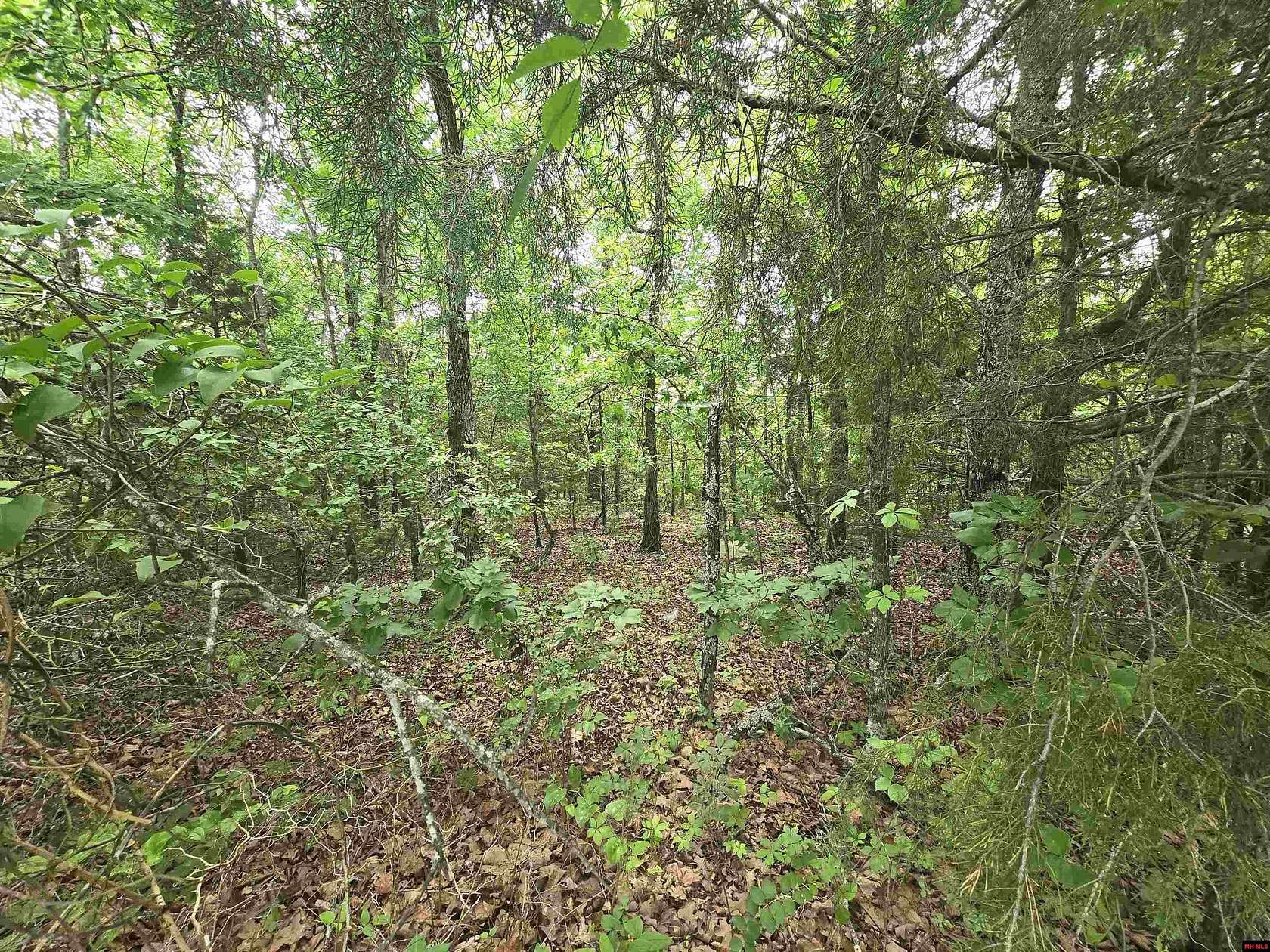 1.52 Acres of Residential Land for Sale in Salesville, Arkansas