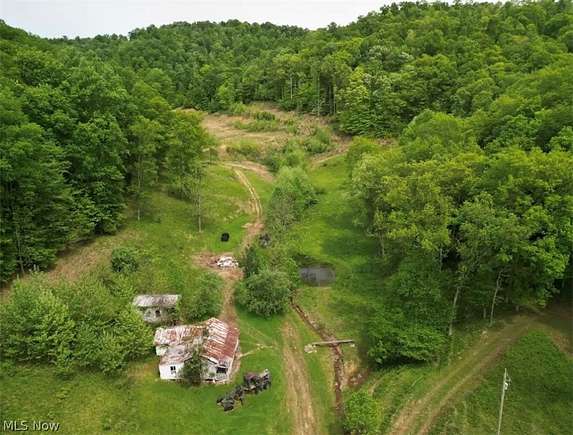 95.8 Acres of Land for Sale in Bomont, West Virginia