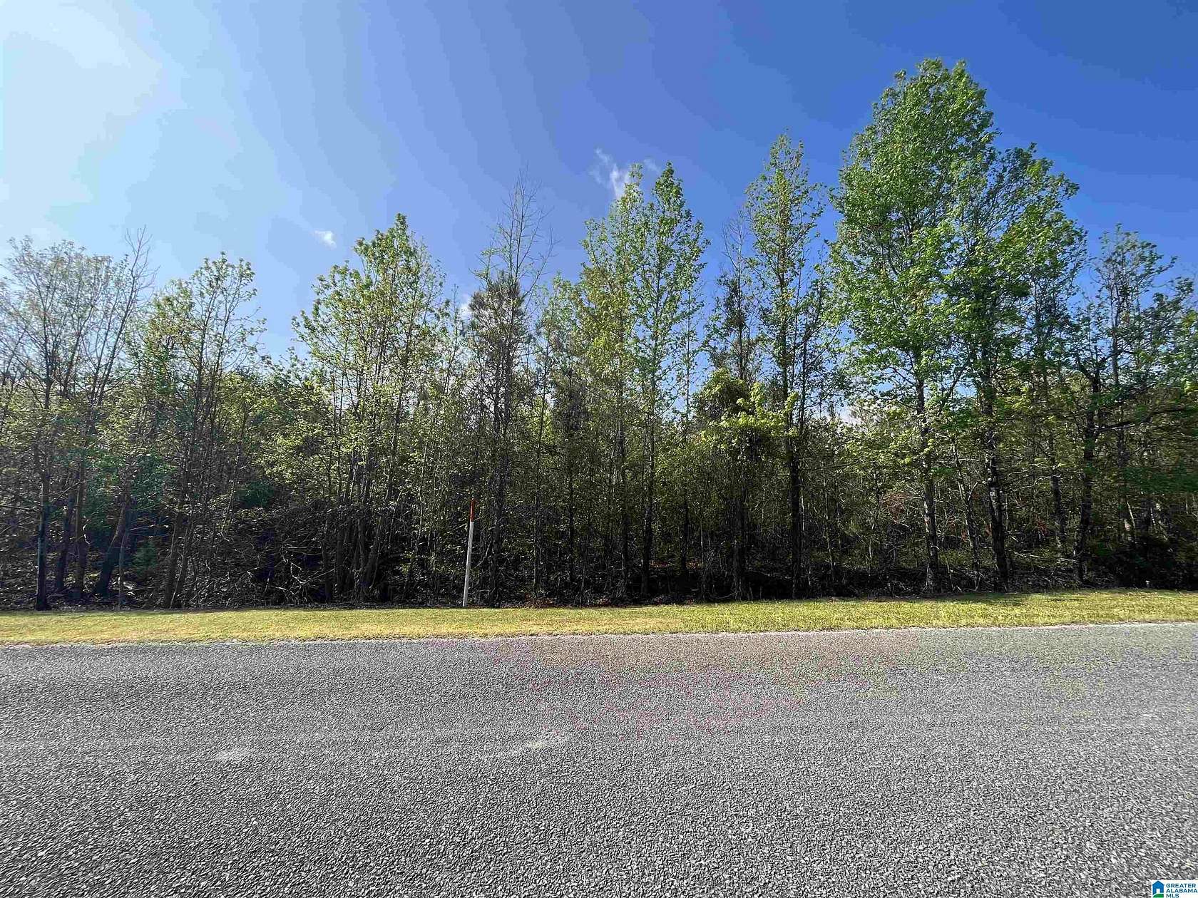 9.8 Acres of Residential Land for Sale in Clanton, Alabama