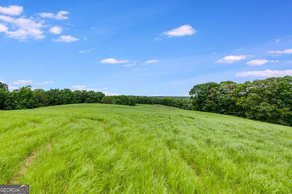 66 Acres of Agricultural Land for Sale in Roopville, Georgia