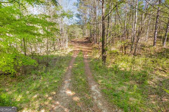 129 Acres of Recreational Land for Sale in Franklin, Georgia