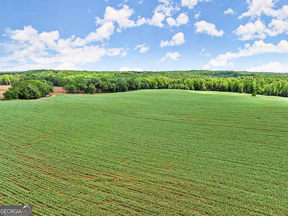 325 Acres of Agricultural Land for Sale in Jefferson, Georgia