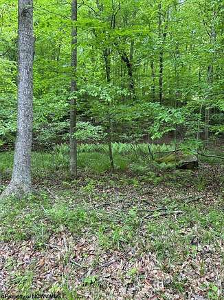 2.4 Acres of Residential Land for Sale in Buckhannon, West Virginia