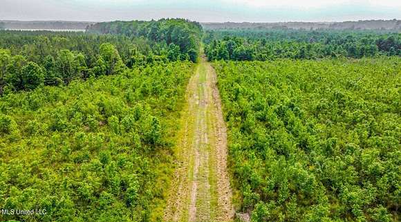 116 Acres of Recreational Land for Sale in Pulaski, Mississippi