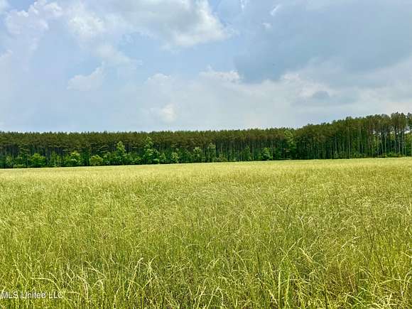 12 Acres of Land for Sale in Canton, Mississippi