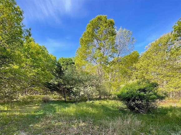 0.78 Acres of Residential Land for Sale in Mount Sinai, New York