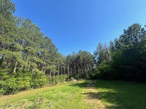 25 Acres of Land for Sale in Gloster, Mississippi