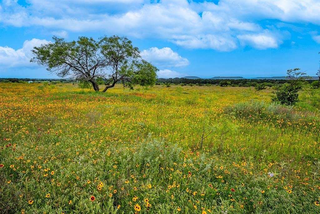 59.3 Acres of Agricultural Land for Sale in Gatesville, Texas