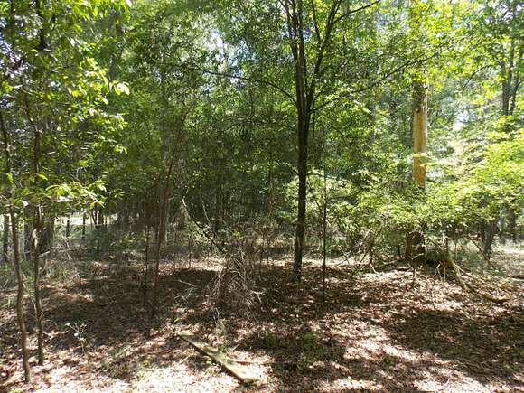 3.6 Acres of Land for Sale in Thomson, Georgia