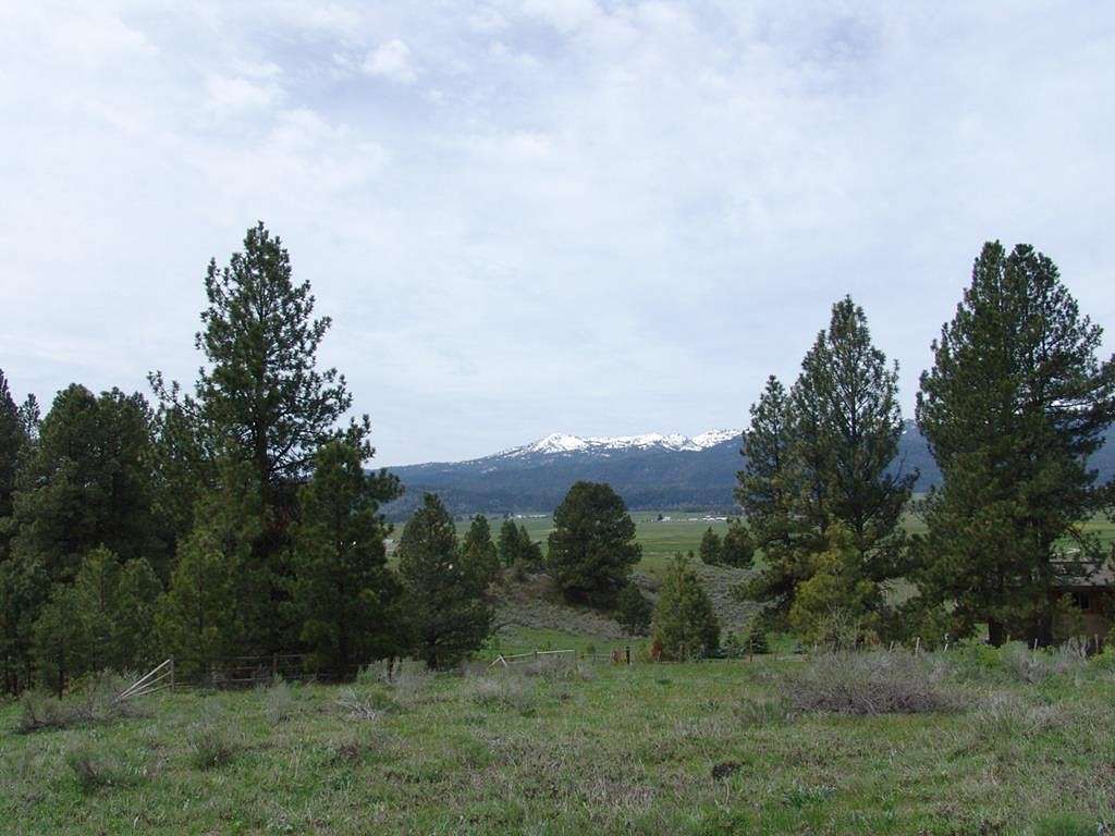 40.49 Acres of Land for Sale in Cascade, Idaho