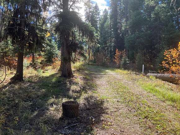 0.27 Acres of Land for Sale in Cascade, Idaho