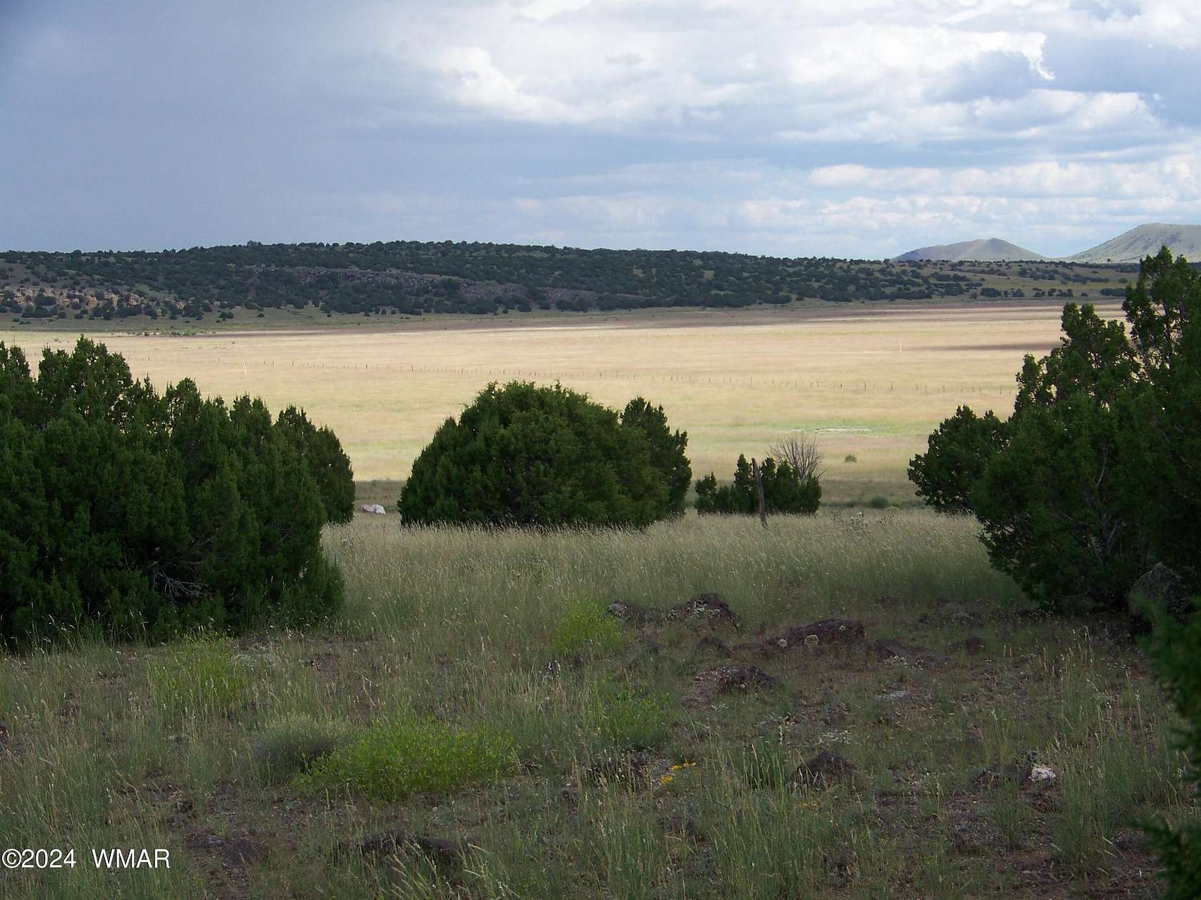 36.07 Acres of Land for Sale in Concho, Arizona