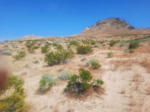 Land for Sale in California City, California