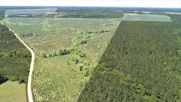 700 Acres of Recreational Land & Farm for Sale in Fitzgerald, Georgia