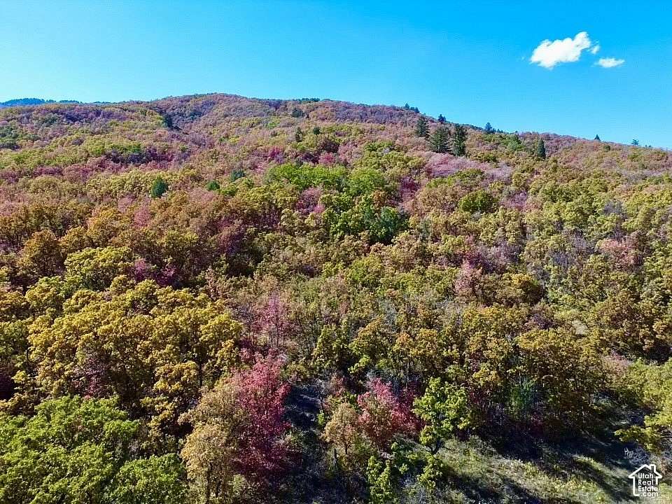 10 Acres of Land for Sale in Wolf Creek, Utah