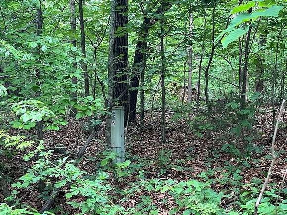 0.27 Acres of Residential Land for Sale in Bella Vista, Arkansas