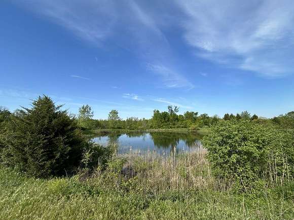 84 Acres of Recreational Land & Farm for Sale in Hillsdale, Michigan
