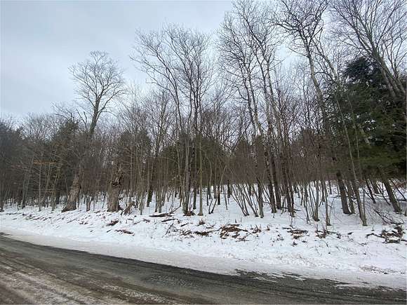 19.8 Acres of Land for Sale in Sanford, New York