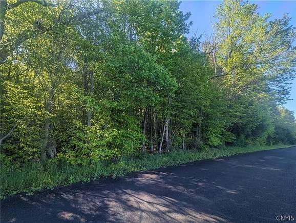 17.2 Acres of Recreational Land for Sale in Summerhill Town, New York
