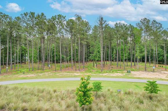 0.28 Acres of Residential Land for Sale in Prosperity, South Carolina
