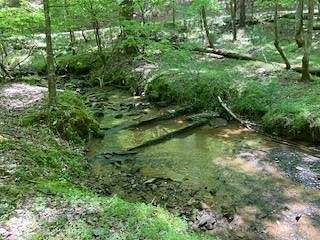 0.88 Acres of Residential Land for Sale in Ellijay, Georgia
