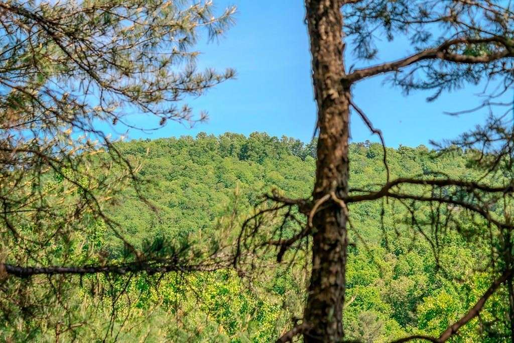 1.87 Acres of Residential Land for Sale in Mineral Bluff, Georgia