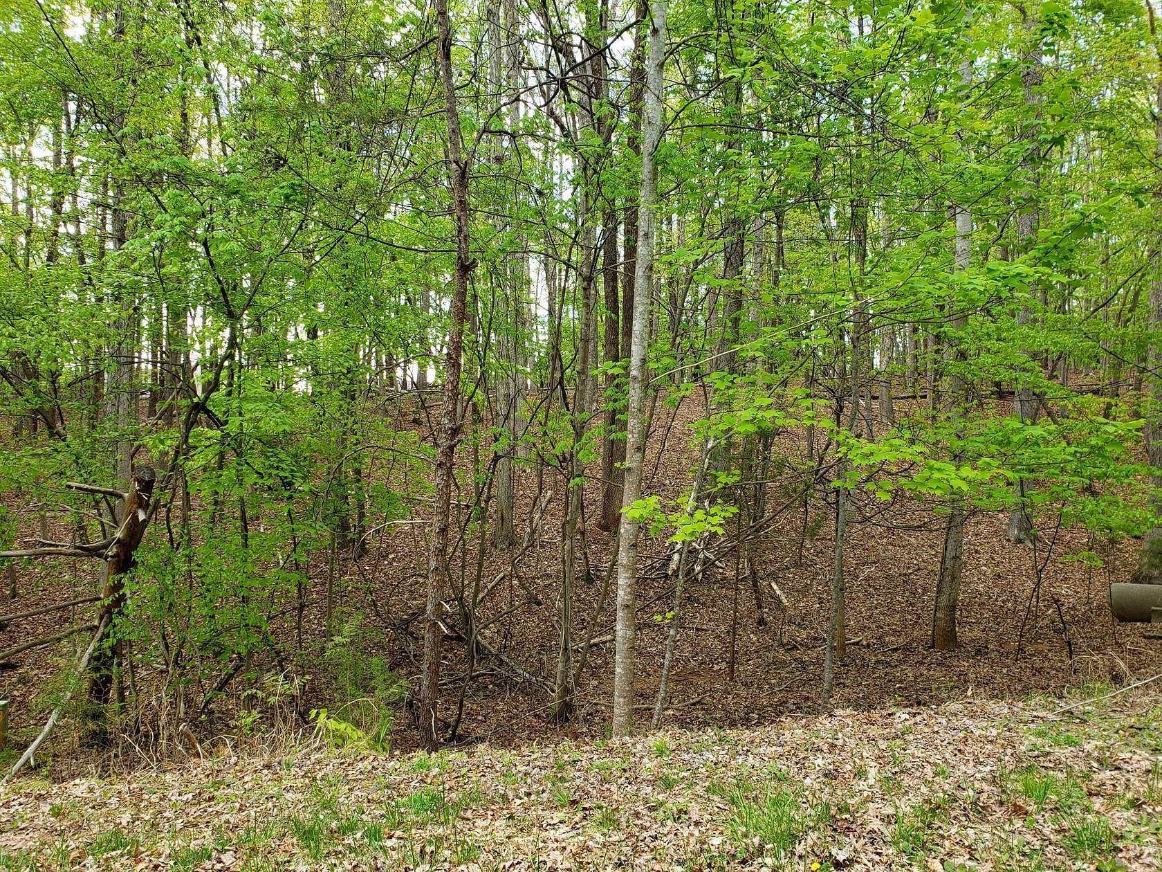 0.57 Acres of Land for Sale in Moneta, Virginia