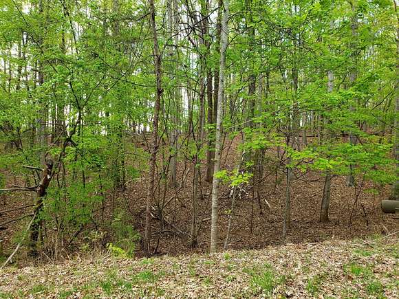 0.57 Acres of Land for Sale in Moneta, Virginia