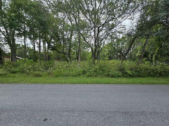 0.55 Acres of Residential Land for Sale in Zephyrhills, Florida