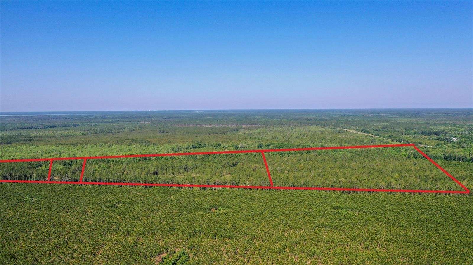 39.3 Acres of Recreational Land & Farm for Sale in Hawthorne, Florida