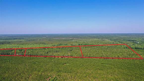 39.3 Acres of Agricultural Land for Sale in Hawthorne, Florida