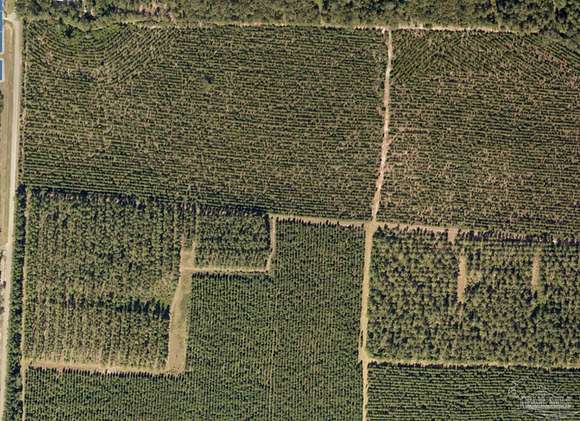 15.1 Acres of Land for Sale in Jay, Florida