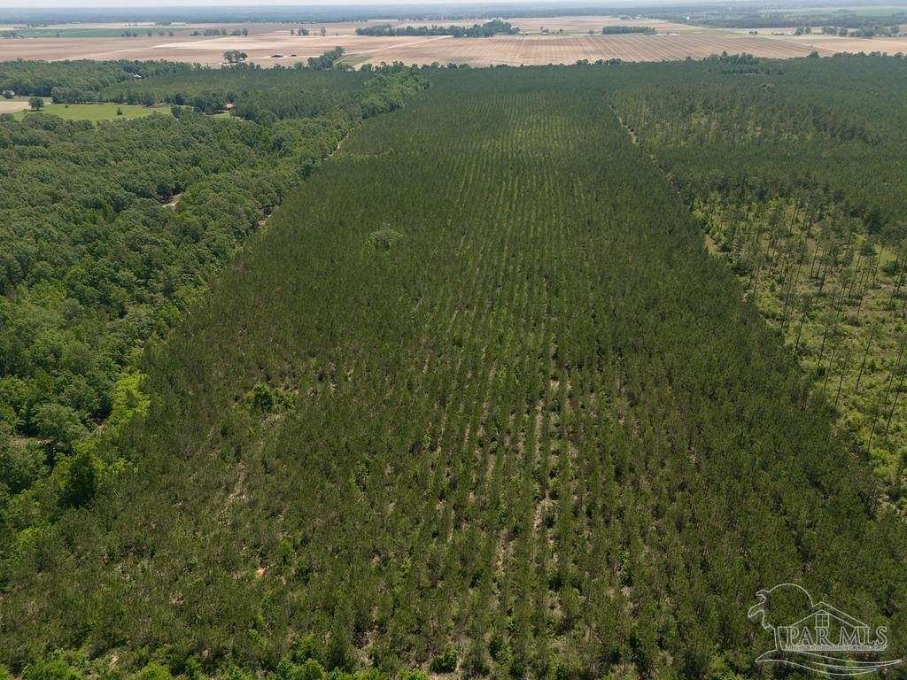 15.5 Acres of Land for Sale in Jay, Florida