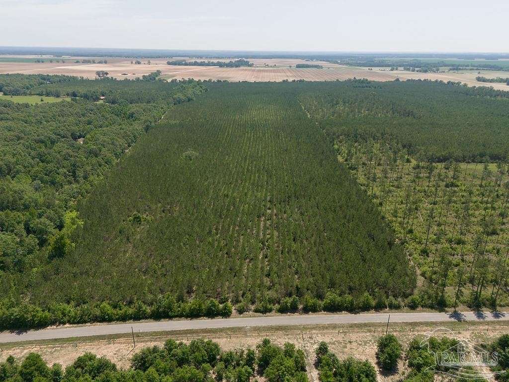 15.5 Acres of Land for Sale in Jay, Florida