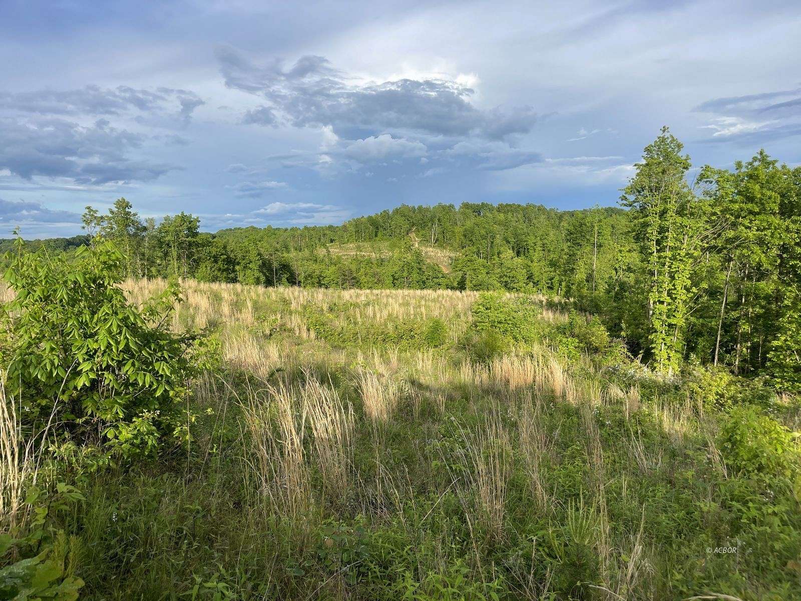 142 Acres of Recreational Land & Farm for Sale in Long Bottom, Ohio