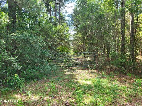 40 Acres of Recreational Land & Farm for Sale in Westville, Florida