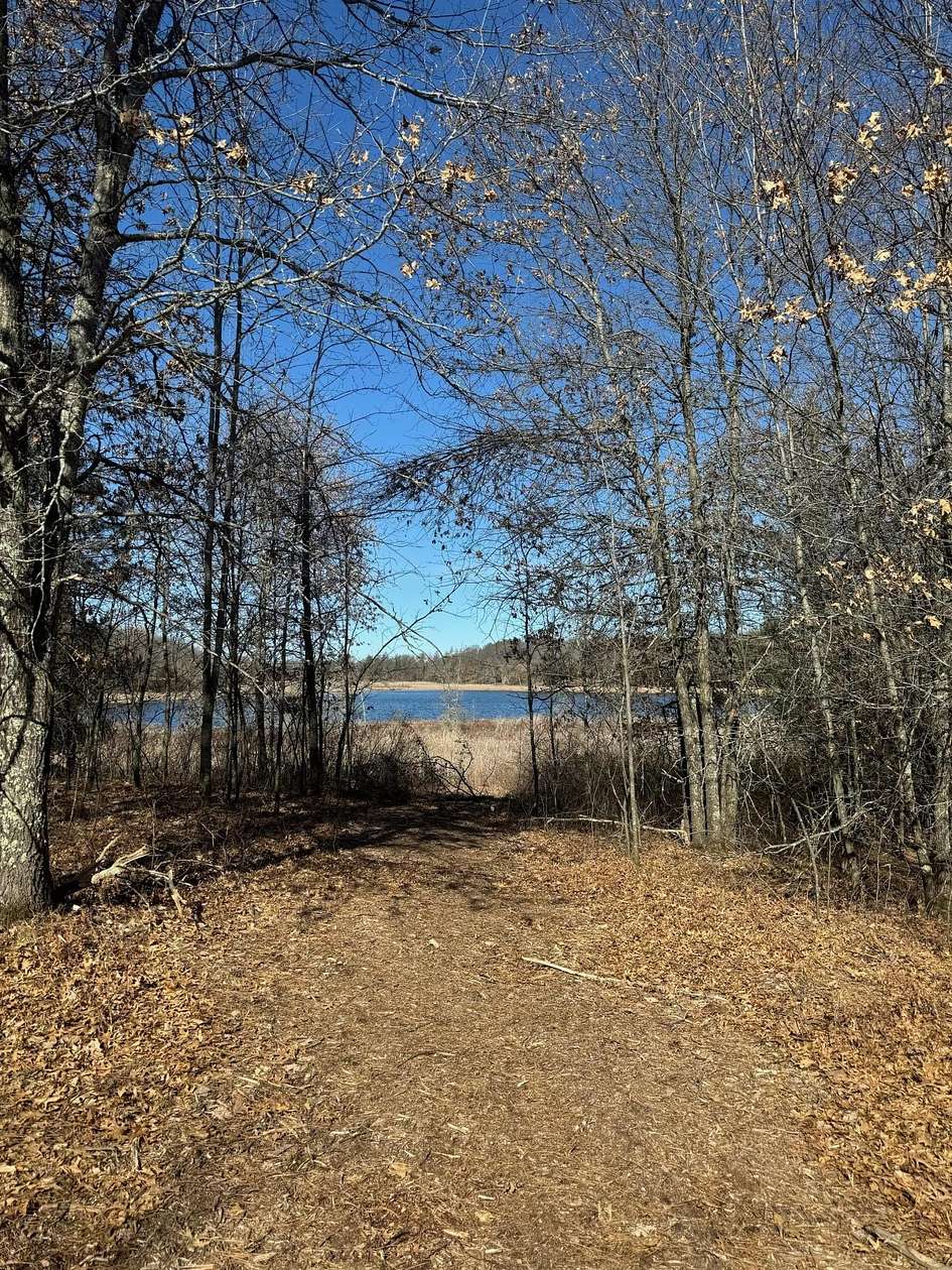 1.5 Acres of Residential Land for Sale in Danbury, Wisconsin