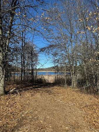 1.5 Acres of Residential Land for Sale in Danbury, Wisconsin