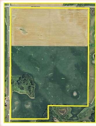 Agricultural Land for Auction in Garfield, Minnesota