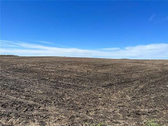 Agricultural Land for Auction in Garfield, Minnesota