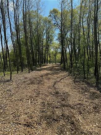1.8 Acres of Residential Land for Sale in Danbury, Wisconsin