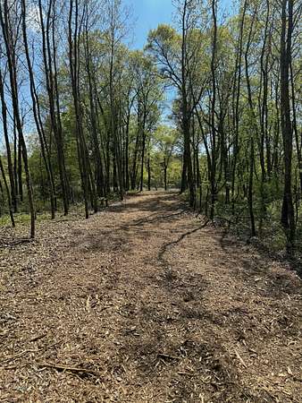 1.77 Acres of Residential Land for Sale in Danbury, Wisconsin