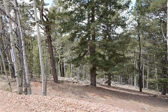 1.6 Acres of Land for Sale in Cripple Creek, Colorado